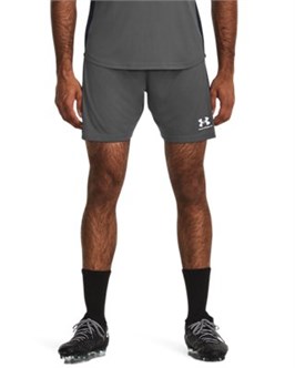 {{productViewItem.photos[photoViewList.activeNavIndex].Alt || productViewItem.photos[photoViewList.activeNavIndex].Description || 'UA Challenger KnitShorts'}}