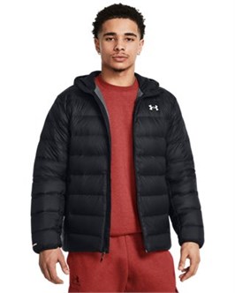 {{productViewItem.photos[photoViewList.activeNavIndex].Alt || productViewItem.photos[photoViewList.activeNavIndex].Description || 'UA Legend DownHooded Jacket'}}