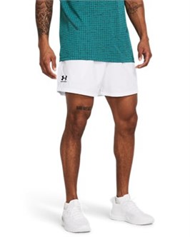 {{productViewItem.photos[photoViewList.activeNavIndex].Alt || productViewItem.photos[photoViewList.activeNavIndex].Description || 'UA IconVolley Shorts'}}