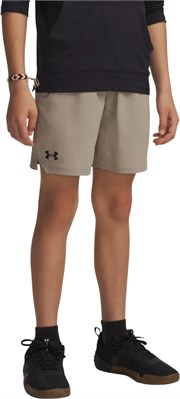 {{productViewItem.photos[photoViewList.activeNavIndex].Alt || productViewItem.photos[photoViewList.activeNavIndex].Description || 'Under Armour Шорты UA Vanish Shorts'}}