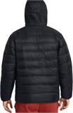 Under Armour Куртка Legend Down Hooded Jacket 1385837-001-lst