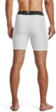 Under Armour Шорты HeatGear Shorts 1361596-100-lst