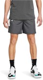Under Armour Шорты UA Baseline Short 1383389-025-lst
