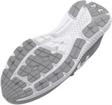 Under Armour Кроссовки UA Charged Rogue 4 3026998-100-lst