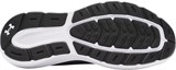 Under Armour Кроссовки UA Charged Rogue 5 3028256-403-lst