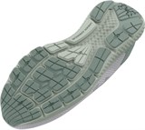 Under Armour Кроссовки Ua W Charged Rogue 3 3025526-102-lst