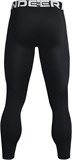 Under Armour Тайтсы Cold Gear Leggings 1366075-001-lst