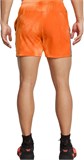 Under Armour Шорты Pjt Rock Ultimate 5 St Pt 1384203-810-lst