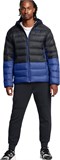 Under Armour Куртка Legend Down Hooded Jacket 1385837-002-lst