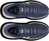 Under Armour Кроссовки UA Phade RN 3 3028252-044-lst