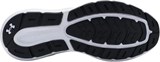 Under Armour Кроссовки UA Charged Rogue 5 3028256-001-lst