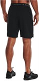 Under Armour Шорты Ua Vanish Woven Shorts 1370382-001-lst