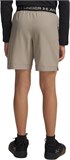 Under Armour Шорты UA Vanish Shorts 1389171-203-lst
