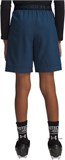 Under Armour Шорты UA Vanish Shorts 1389171-498-lst