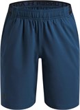 Under Armour Шорты UA Vanish Shorts 1389171-498-lst