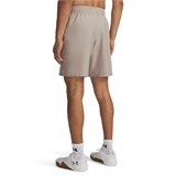 Under Armour Шорты UA Tech Woven Wordmark Short 1383356-203-lst