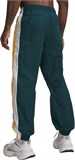 Under Armour Брюки UA Icon Wvn Track Jogger 6009662-919-lst