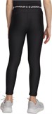 Under Armour Леггинсы HeatGear Legging 6009975-001-lst