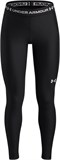 Under Armour Леггинсы HeatGear Legging 6009975-001-lst