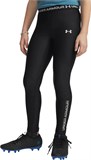 Under Armour Леггинсы HeatGear Graphic Legging 6012636-001-lst