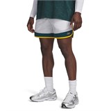 Under Armour Шорты UA Icon Woven Track Shorts 6009350-100-lst