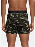 Under Armour Трусы (3 шт) Ua Performance Cotton-Print 1383890-391-lst