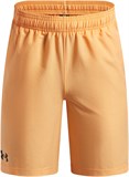Under Armour Шорты UA Tech Woven Short 1377264-870-lst