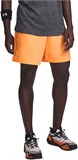 Under Armour Шорты UA Tech Woven Wordmark Short 1383356-870-lst