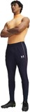 Under Armour Брюки UA M Ch. Pro Pant 6005131-410-lst
