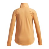 Under Armour Джемпер UA Tech Wordmark HZ 6004979-870-lst