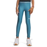 Under Armour Леггинсы HeatGear Legging 6009975-466-lst