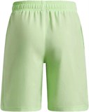 Under Armour Шорты UA Tech Woven Short 1377264-712-lst