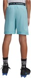Under Armour Шорты UA Vanish Shorts 1389171-425-lst