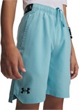 Under Armour Шорты UA Vanish Shorts 1389171-425-lst