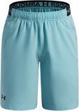 Under Armour Шорты UA Vanish Shorts 1389171-425-lst