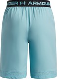 Under Armour Шорты UA Vanish Shorts 1389171-425-lst
