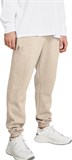 Under Armour Брюки UA Essential Fleece Jogger 1373882-203-lst
