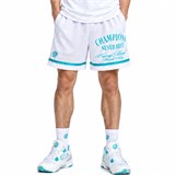 Шорты UA Curry Tour Mesh 6012938-100