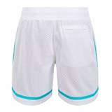 Шорты UA Curry Tour Mesh 6012938-100