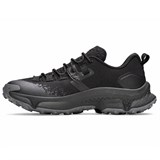 Кроссовки UA Charged Expanse Low 6000768-001