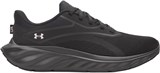 Under Armour Кроссовки UA W Ascend 6009828-003-lst