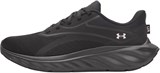 Under Armour Кроссовки UA W Ascend 6009828-003-lst
