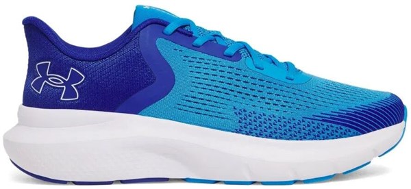 Under Armour Кроссовки UA Charged Rogue 5 3028256-428-lst