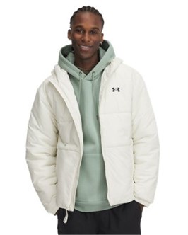 {{productViewItem.photos[photoViewList.activeNavIndex].Alt || productViewItem.photos[photoViewList.activeNavIndex].Description || 'UA Lightweight InsulatedJacket'}}