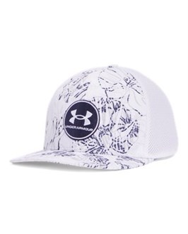 {{productViewItem.photos[photoViewList.activeNavIndex].Alt || productViewItem.photos[photoViewList.activeNavIndex].Description || 'UA Iso-Chill Drive Low StretchFit Cap'}}