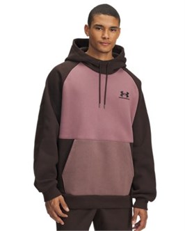 {{productViewItem.photos[photoViewList.activeNavIndex].Alt || productViewItem.photos[photoViewList.activeNavIndex].Description || 'UA Icon Heavyweight ColorblockedHoodie'}}