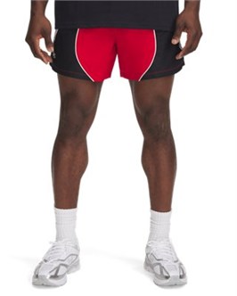 {{productViewItem.photos[photoViewList.activeNavIndex].Alt || productViewItem.photos[photoViewList.activeNavIndex].Description || 'UA Icon ColorblockVolley Shorts'}}