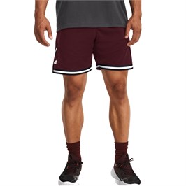 {{productViewItem.photos[photoViewList.activeNavIndex].Alt || productViewItem.photos[photoViewList.activeNavIndex].Description || 'Шорты Curry Mesh 3'}}