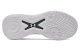 Under Armour Curry 10 Team 'Pitch Grey' 3026624-101