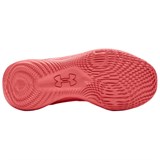 Under Armour Curry 2 Low FloTro Davidson 3028399-600